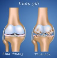THOAI_HOA_KHYP_GYI_LA_GI_